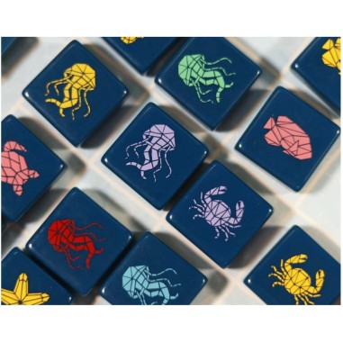 Aqualin - Jeu de Réflexion - Deux Joueurs - Iello