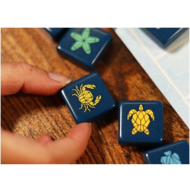 Aqualin - Jeu de Réflexion - Deux Joueurs - Iello