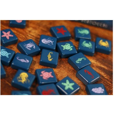 Aqualin - Jeu de Réflexion - Deux Joueurs - Iello