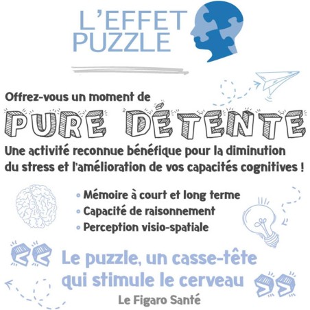 Puzzle 1000 pièces : les plus beaux thèmes disney - Ravensburger