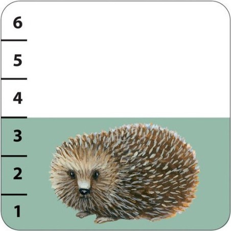 Batanimo - Jeu de société - Achat Boutique - Djeco