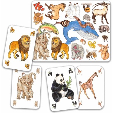 Jeux de Cartes - Zanimatch - Jeu de société - Djeco