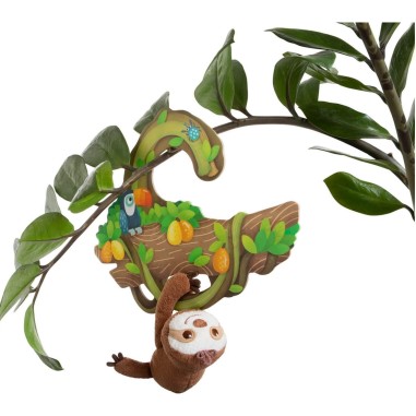 Mes Premiers Jeux – Où se cache Lazy? - Jeux enfants - Haba