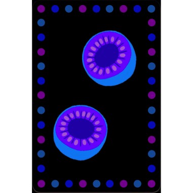 Jeux de Cartes - Smoothie - Jeu de société - Djeco