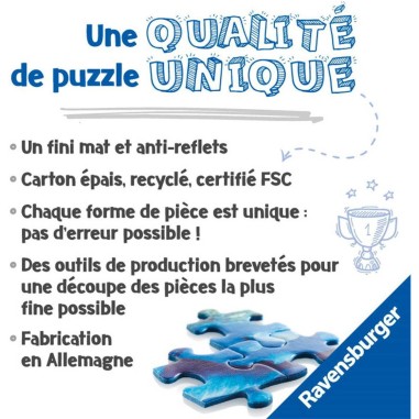 Puzzle 1000 pièces : harry potter et les sorciers - Ravensburger