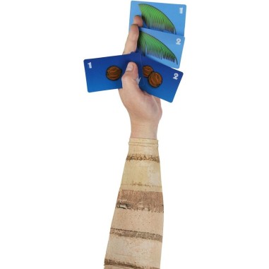 Palm Trees - Jeux de société - Wizkids