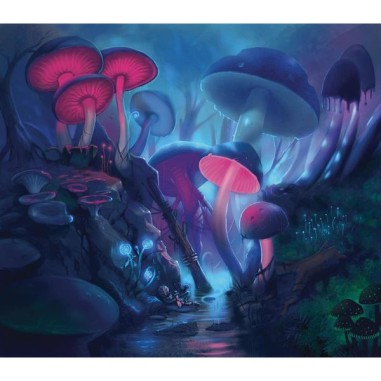 Chronicles of Avel - .pl - Jeux de société - Rebel