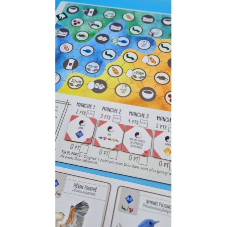 Wingspan - Extension Asie - Jeux de société - Matagot
