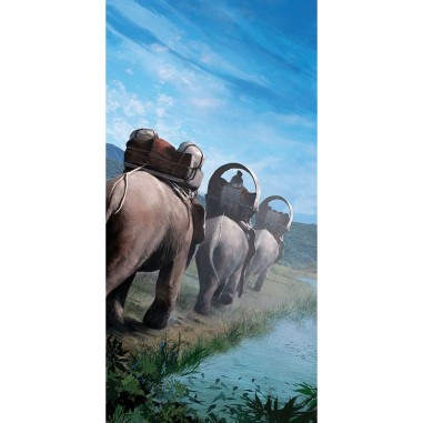 Splendor - Jeu de société Cartes et Stratégie - Asmodee - Space Cowboys