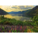 Ravensburger - Puzzle -1000p : Fjord en Norvège - Highlight