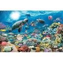 Puzzle 5000 pièces - Sous la mer - Ravensburger