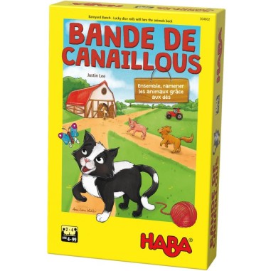 Bande de canaillous - Jeux de société - Haba