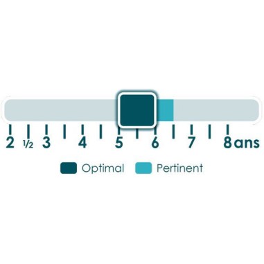 La Guerre des Toques - Jeux de société - Placote