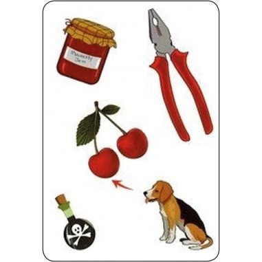 Tam Tam Safari CE1 - Jeu de société - Ab Ludis Editions