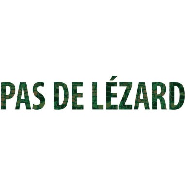 Pas de Lézard - Jeu de société - Editions - Flip Flap