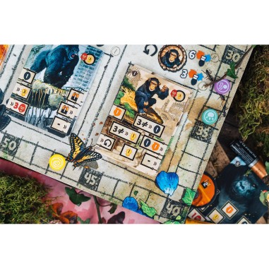 After Us - Jeux de société - Catch Up Games