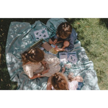 L'Enquête par Courrier - Nature et Insectes - Jeux de société - En Cavale