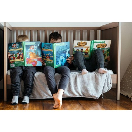 Ma première aventure : En quête du dragon - Version longue - Game Flow