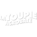 La Toupie Acrobate - Spinboard - Buzzy Games