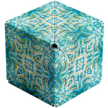 Shashibo Ocean - Jeux classiques - Fun In Motion Toys