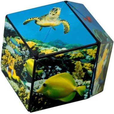 Shashibo Ocean - Jeux classiques - Fun In Motion Toys