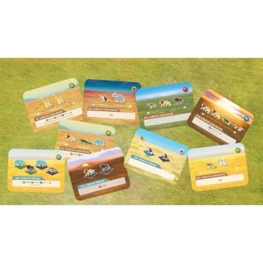 Wild: Serengeti - 404 Editions - Jeux de société - Don t Panic Games