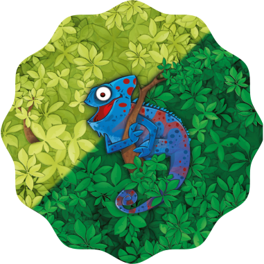 Baobab - Jeu de société - Blue Orange - Blue Orange Games