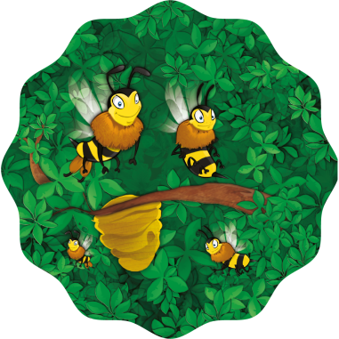 Baobab - Jeu de société - Blue Orange - Blue Orange Games