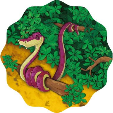 Baobab - Jeu de société - Blue Orange - Blue Orange Games