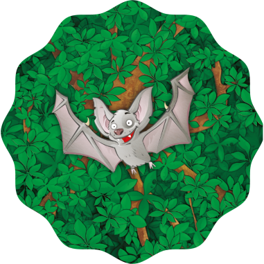 Baobab - Jeu de société - Blue Orange - Blue Orange Games