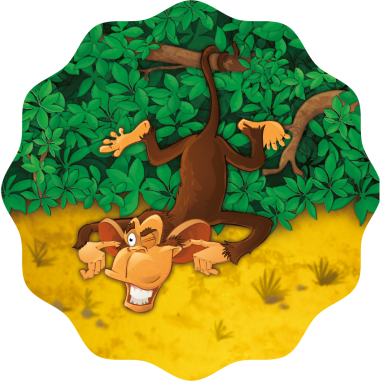 Baobab - Jeu de société - Blue Orange - Blue Orange Games