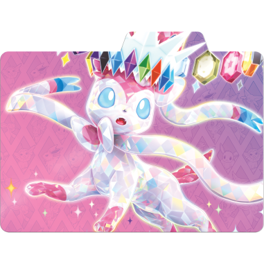 EV8.5 : Coffret de rangement - Pokémon