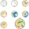 Coffret Créatif Dinosaures Artistic Patch Métal - Djeco