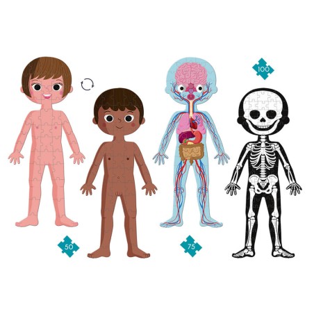 Puzzle corps humain - 4 Puzzles éducatifs géants dès 4 ans - Janod