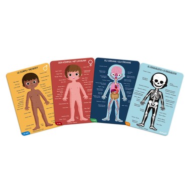 Puzzle corps humain - 4 Puzzles éducatifs géants dès 4 ans - Janod