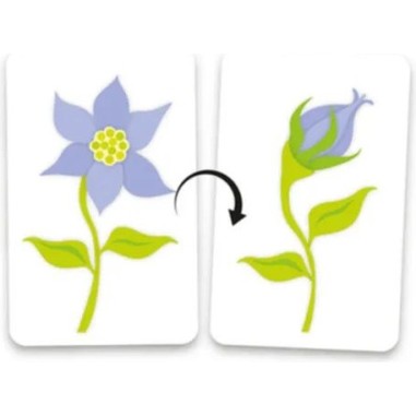 Vice et versa - jeu d'observation - Gigamic