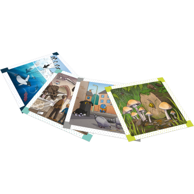 BrainBox: Trouve les Différences – dans la Nature - Jeux de société - Green Board Game Company - Asmodée