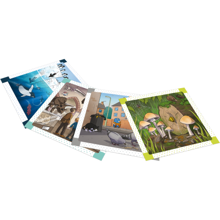 BrainBox: Trouve les Différences – dans la Nature - Jeux de société - Green Board Game Company - Asmodée