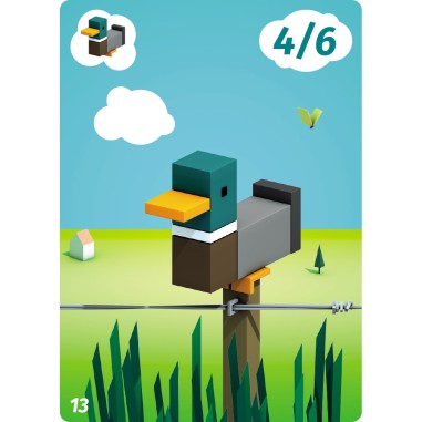 Cubirds - Jeu de société - Catch Up Games