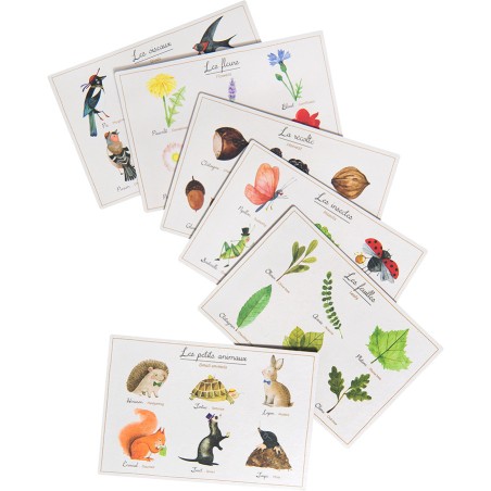 Loto de la nature le jardin du moulin - jeu - Moulin Roty