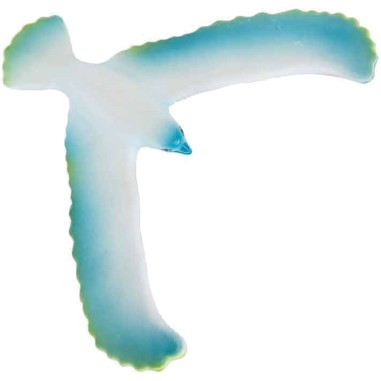 Oiseau Équilibriste Bleu Les Petites Merveilles - Moulin Roty