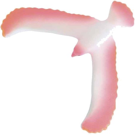 Oiseau Équilibriste Rose Les Petites Merveilles - Moulin Roty