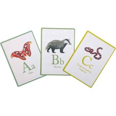 Cartes abécédaire animaux Tout autour du monde - Moulin Roty 2