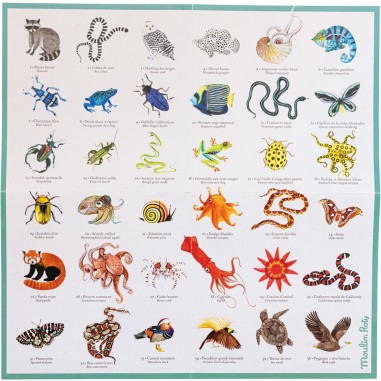 Mémory animaux Tout autour du Monde - Made in France - Moulin Roty