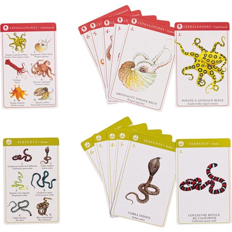 Jeu de 7 familles des espèces Tout autour du monde - Moulin Roty