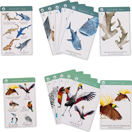 Jeu de 7 familles des espèces Tout autour du monde - Moulin Roty