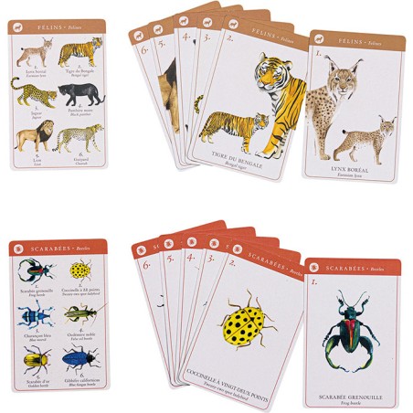 Jeu de 7 familles des espèces Tout autour du monde - Moulin Roty