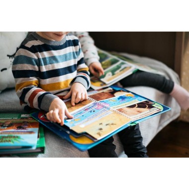 Ma 1Ere Aventure : La Reine De Champ-Fleuri Version Longue - Game Flow