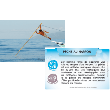 Bioviva Planète: Mers et Océans - Jeux de société - Bioviva Editions