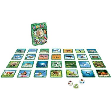 Specific - Jeu de société - Gigamic